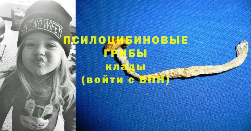 Псилоцибиновые грибы мухоморы  это формула  Североморск 